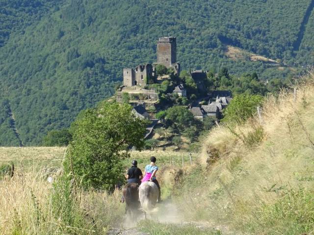 Randonnée à cheval et en attelage en occitanie 
