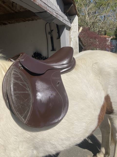 Selle tekna 