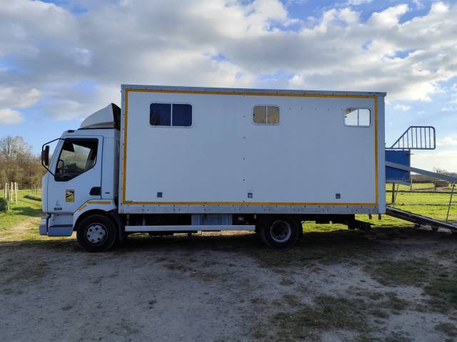 Camion poids lourd renault pour chevaux 20 000 € à  déb