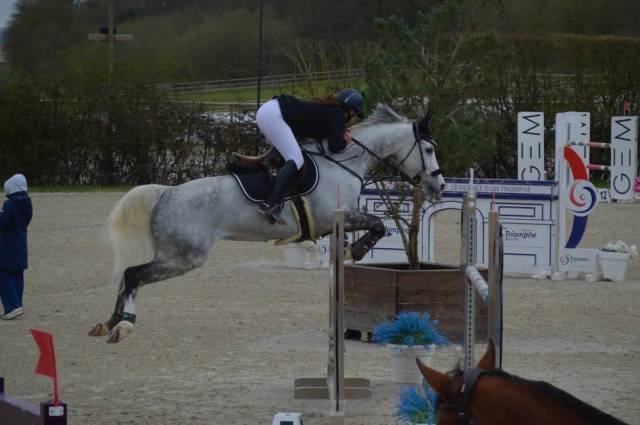Jument cso amateur élite