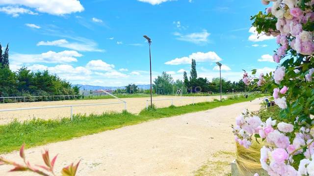 Belle propriété dans les alpilles