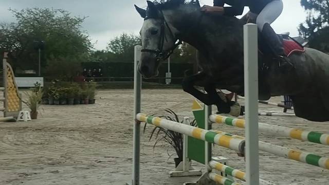 Ponette d 7 ans