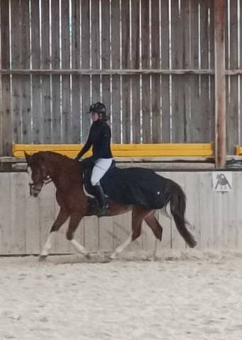 Ponette d sport