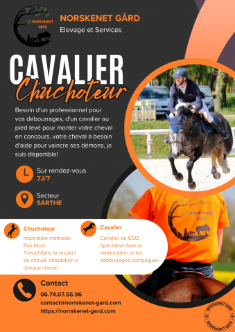 Cavalier de débourrage, rééducation et cso