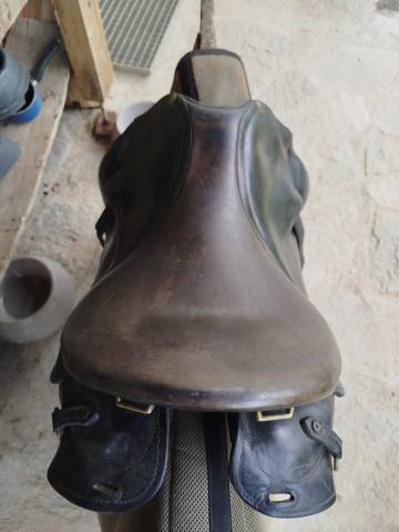 Forestier trec