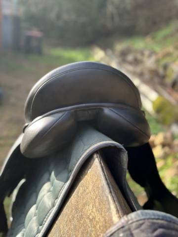 Selle dressage 