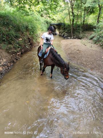 Les écuries d'iguzki
