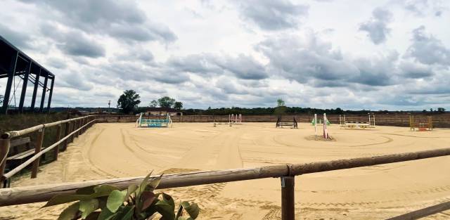 Haras de blampoeur - ecurie de propriétaires 31330