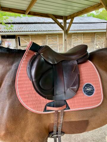 Selle childeric monoquartier taille 18