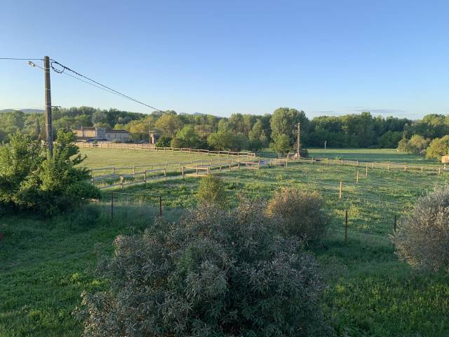 Ecurie de propriétaires