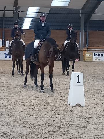 Jument cso de 9 ans