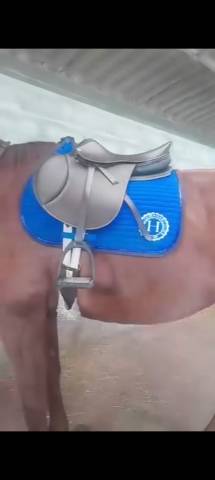 Selle tdet