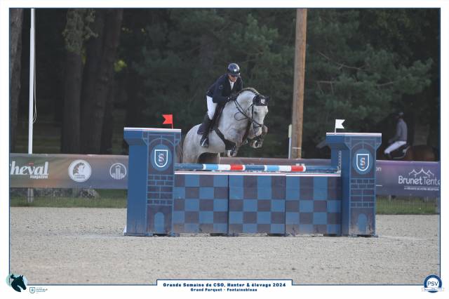 Cheval de 6ans gros moyen