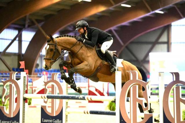 Cheval de sport  classé sur 125 / 130