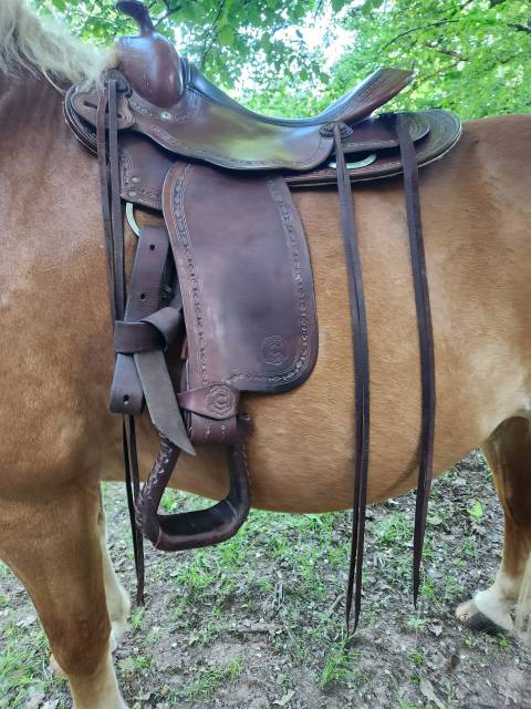 Selle western continental