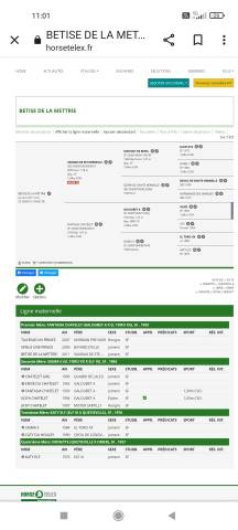 Poulain 2 ans sf 
