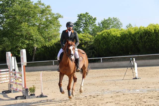 India de la verchère jument de 7 ans par arko