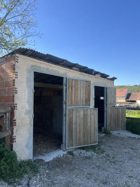 Pension dressage et bien-être 