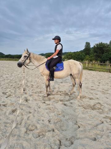 Ponette connemara 