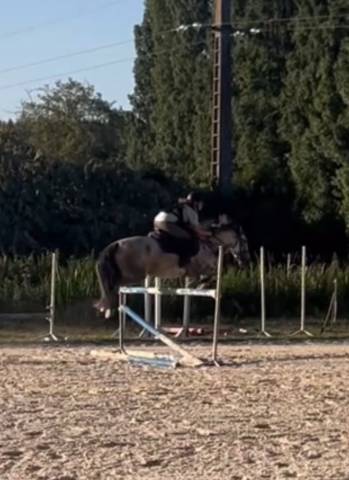 Ponette de sport 