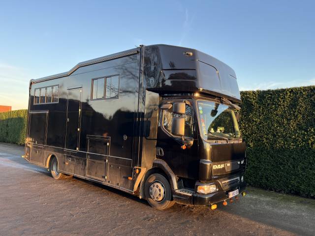 Camion pl chevaux daf lf 2010 occasion