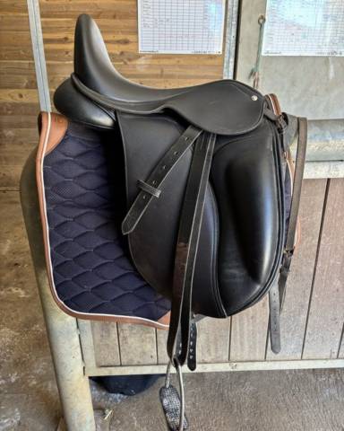 Lexys dressage taille 15 qui taille grand *