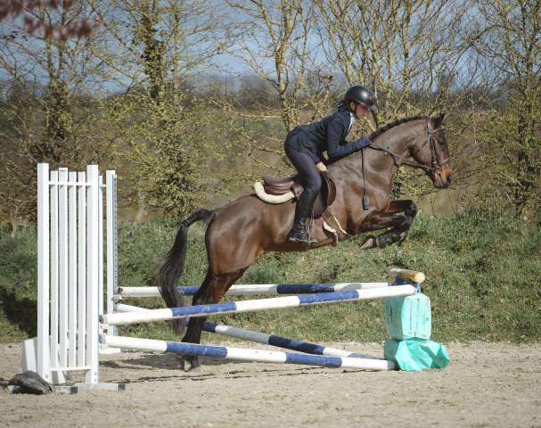 Poney d pfs
