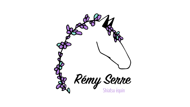 Remy serre shiatsu equin
