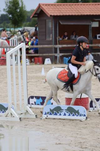 Cherche ae ou moniteur d'équitation temps partiel (28)