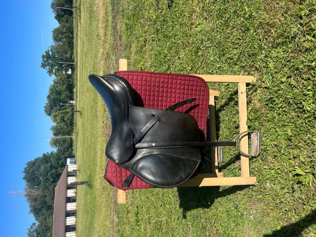Selle forestier 17