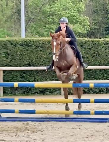 Top sf hunter et cso