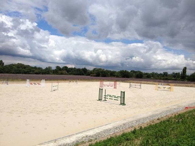 Pension chevaux et poneys