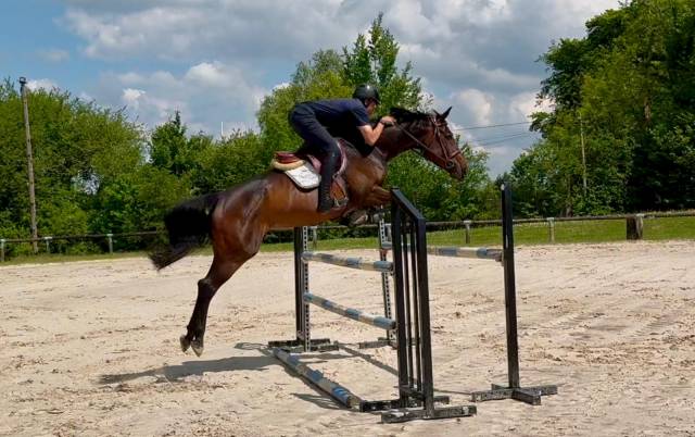Top jument cso 