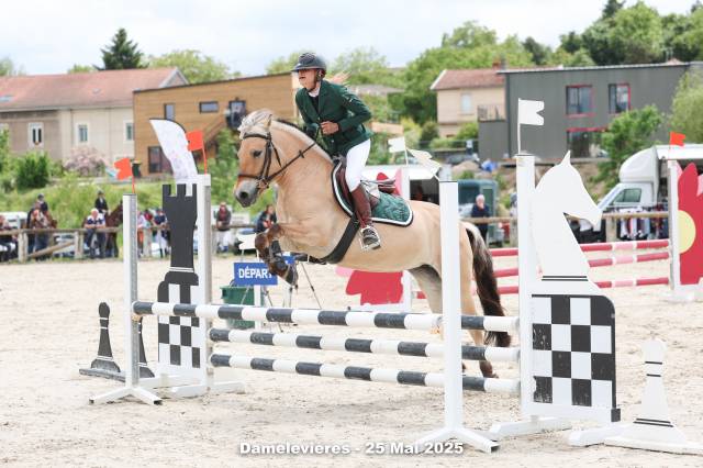 Location poney de sport 