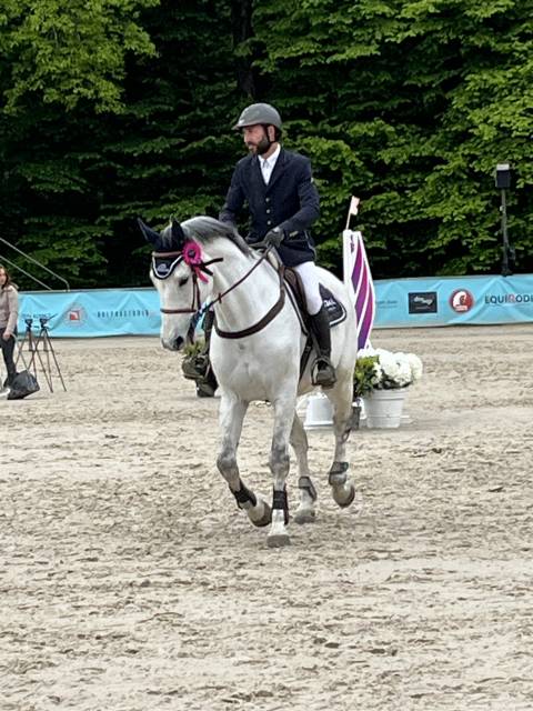 Cheval sport