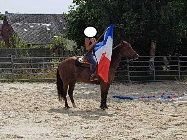 Jument appaloosa pp