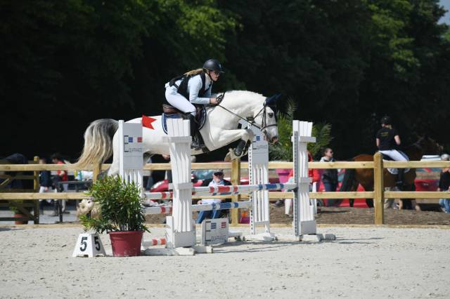 Cheval hyper polyvalant 