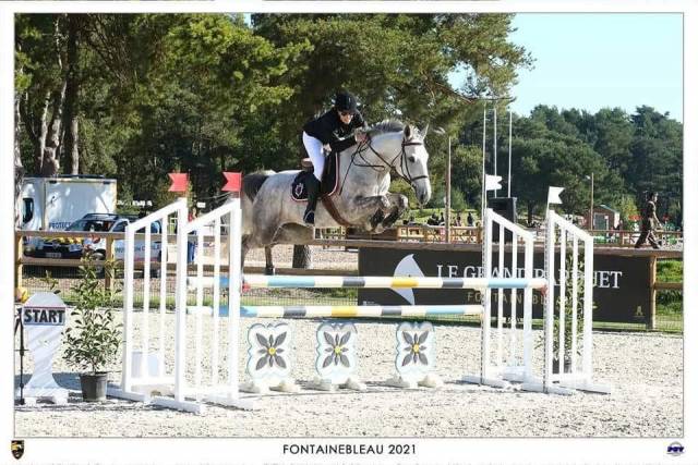 Jument de sport sf 10 ans