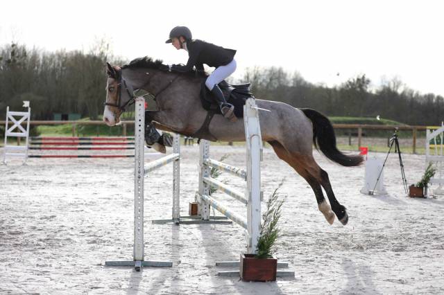 A louer ponette d pour poney élite/ as 2