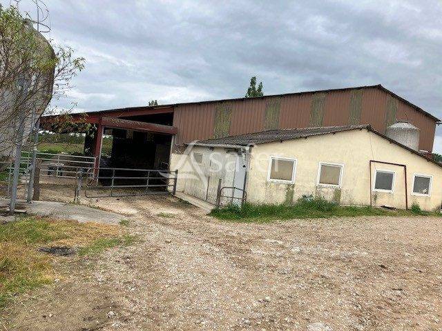 Exploitation lait aop comté