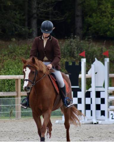 Ponette d origines constatée 7 ans