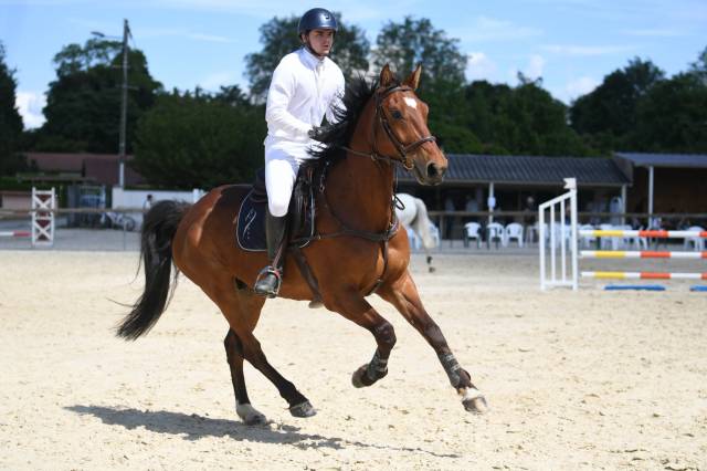 In love boisy cheval pour amateur de 7 ans 1m72