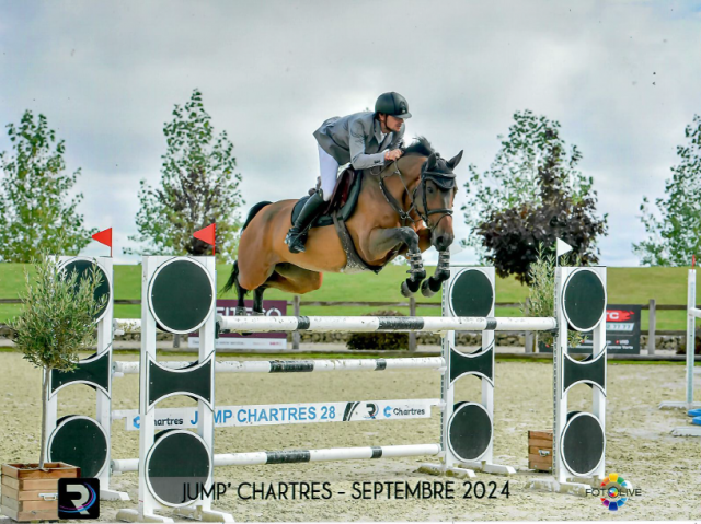 Top jument 8 ans cso