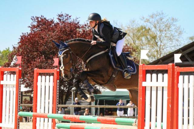 Pension chevaux bien être  / enseignement 