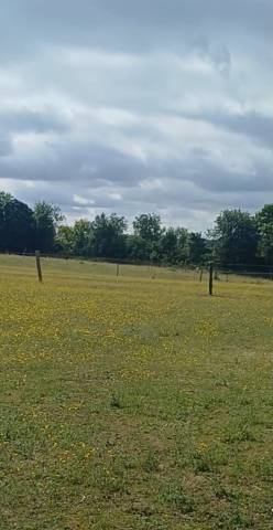 Pâture à louer chantilly