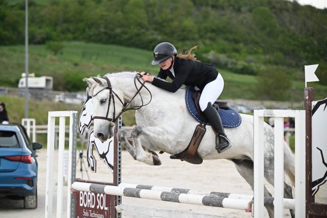 Poney hongre pre pp
