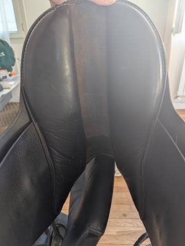 Bardette guy cantin 15,5