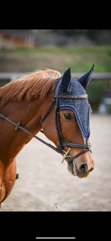 Jidam d’aubigny 