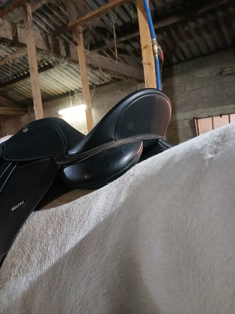 Selle wintec 500 caire 16,5 
