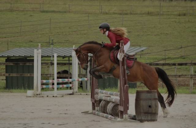 Ponette c a vendre uniquement 